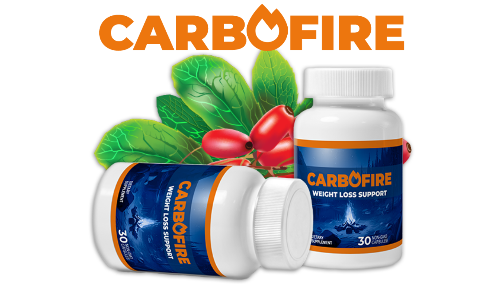 Carbofire The Secret to Burning Fat Fast and Healthily